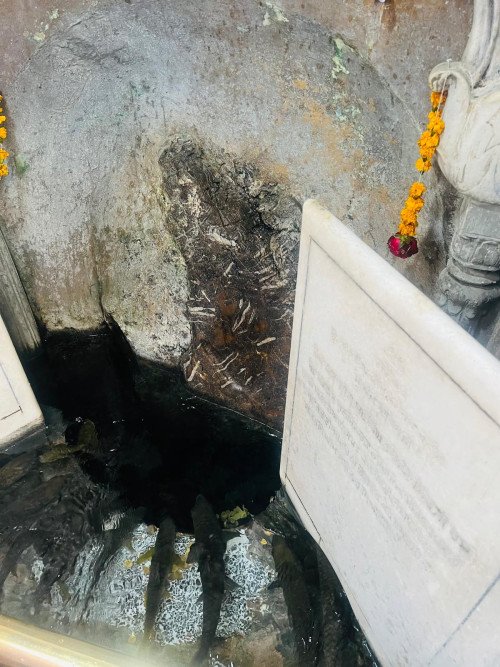 ਗੁਰੂ ਨਾਨਕ ਦੇਵ ਜੀ ਦੇ 555ਵੇਂ ਪ੍ਰਕਾਸ਼ ਦਿਹਾੜੇ ਮੌਕੇ ਆਸਟ੍ਰੇਲੀਆ ਤੋਂ ਸਿੱਖ ਸੰਗਤਾਂ ਦਾ ਜੱਥਾ ਪਾਕਿਸਤਾਨ ਵਿਚਲੇ ਗੁਰਧਾਮਾਂ ਦੀ ਯਾਤਰਾ ਲਈ ਗਿਆ