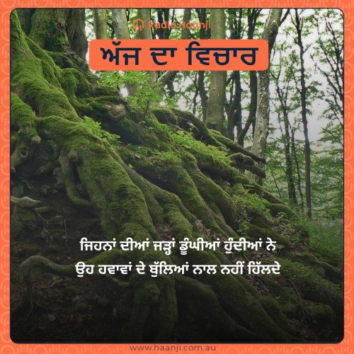ਜਿਹਨਾਂ ਦੀਆਂ ਜੜ੍ਹਾਂ ਡੂੰਘੀਆਂ ਹੁੰਦੀਆਂ ਨੇ ਉਹ ਹਵਾਵਾਂ ਦੇ ਬੁੱਲਿਆਂ ਨਾਲ ਨਹੀਂ ਹਿੱਲਦੇ