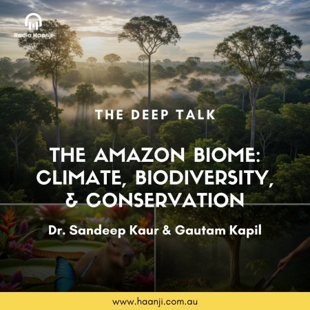 The Amazon Biome: Climate, Biodiversity, & Conservation - The Deep Talk