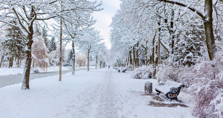 ਉੱਤਰੀ ਭਾਰਤ 'ਚ ਕੜਾਕੇ ਦੀ ਠੰਢ: ਜੰਮੂ-ਕਸ਼ਮੀਰ 'ਚ ਸੀਤ ਲਹਿਰ ਦਾ ਕਹਿਰ, ਦਿੱਲੀ ਤੇ ਯੂਪੀ 'ਚ ਵੀ ਡਿੱਗਿਆ ਪਾਰਾ