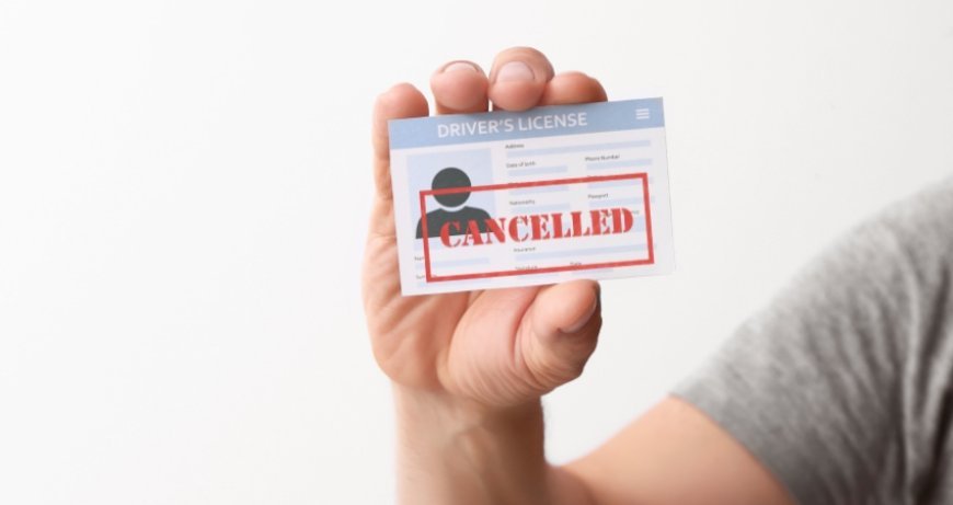 ਕੈਲੀਫੋਰਨੀਆ 'ਚ 17,000 ਟਰੱਕ ਡਰਾਈਵਰਾਂ ਦੇ ਲਾਇਸੰਸ ਮੁਅੱਤਲ; ਅਦਾਲਤੀ ਫੈਸਲੇ ਤੋਂ ਬਾਅਦ ਵੱਡੀ ਕਾਰਵਾਈ