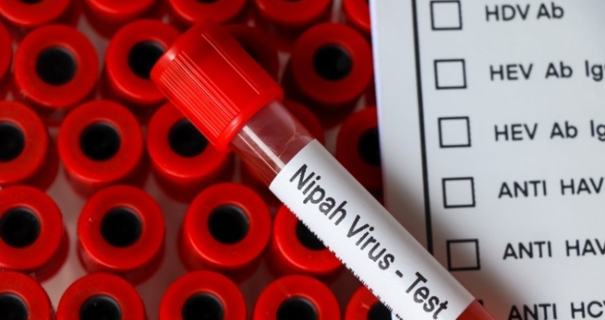 ਨਿਪਾਹ ਵਾਇਰਸ ਦਾ ਖ਼ਤਰਾ ਘੱਟ, ਘਬਰਾਉਣ ਦੀ ਲੋੜ ਨਹੀਂ: ਵਿਸ਼ਵ ਸਿਹਤ ਸੰਗਠਨ (WHO) ਨੇ ਦਿੱਤੀ ਰਾਹਤ