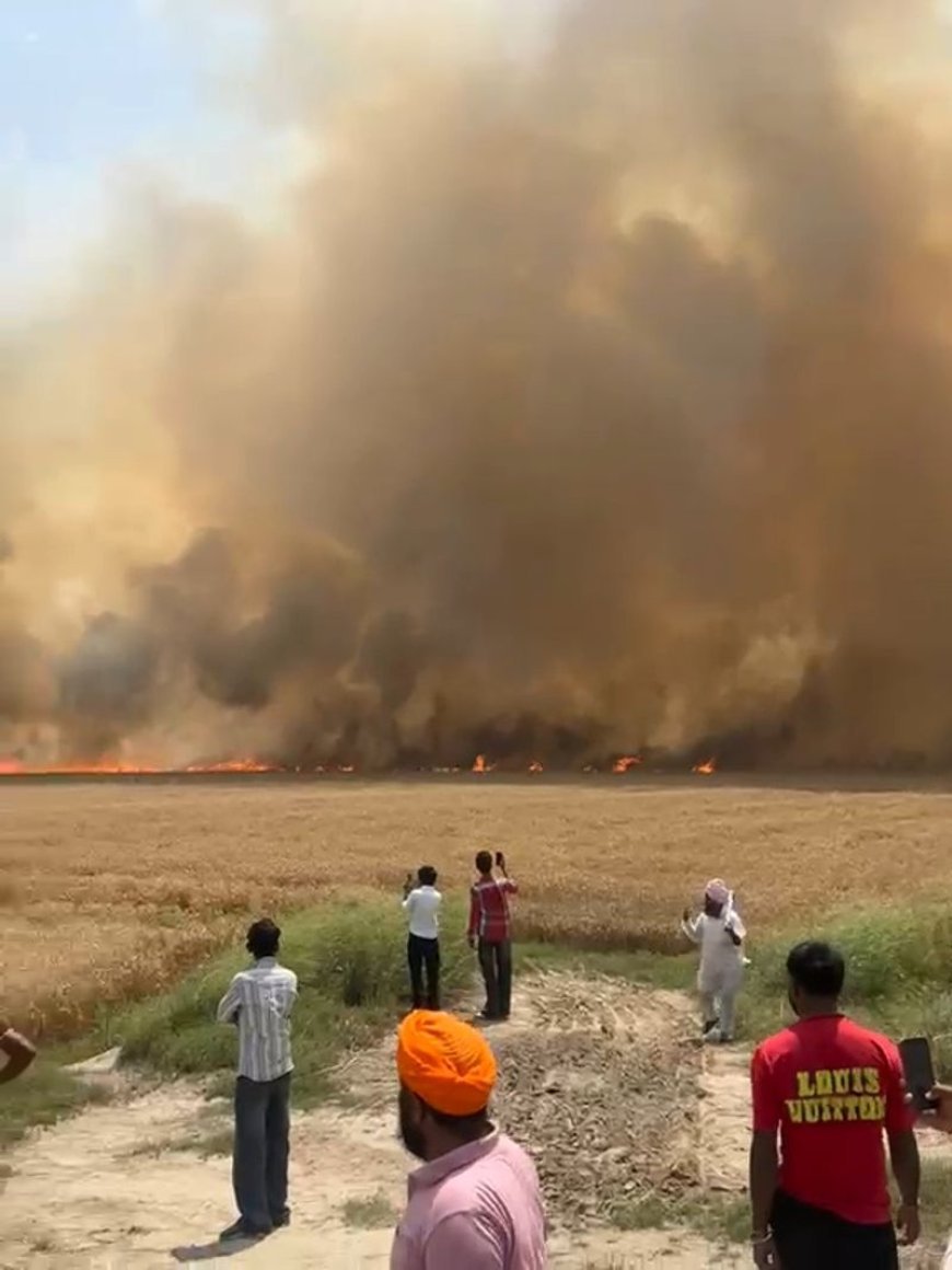 ਮੁਕਤਸਰ ਤੇ ਫਾਜ਼ਿਲਕਾ ਦੇ ਪਿੰਡਾਂ 'ਚ ਅੱਗ ਦਾ ਤਾਂਡਵ: 250 ਏਕੜ ਕਣਕ ਦੀ ਫ਼ਸਲ ਸੜ ਕੇ ਸਵਾਹ